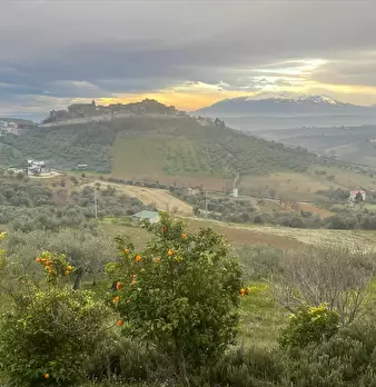 Foto annuncio 20