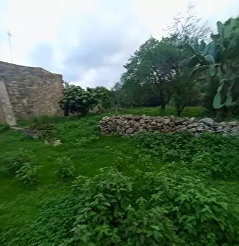 Foto annuncio 9