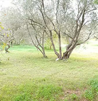 Foto annuncio 4