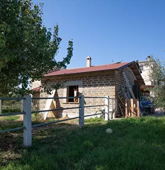 Foto annuncio 25