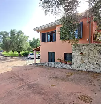 Foto annuncio 15