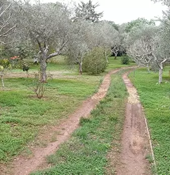 Foto annuncio 8