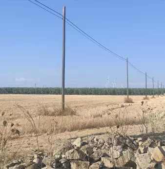 Foto annuncio 4