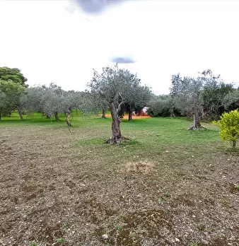 Foto annuncio 19