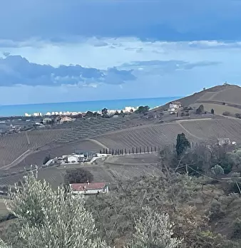 Foto annuncio 24
