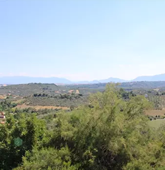 Foto annuncio 11