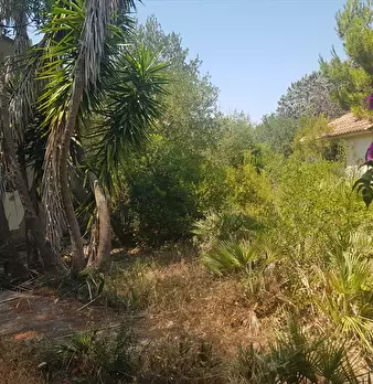 Foto annuncio 27