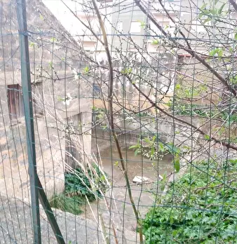 Foto annuncio 7