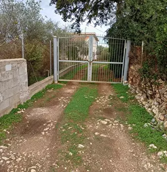 Foto annuncio 2