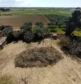 Foto annuncio 2