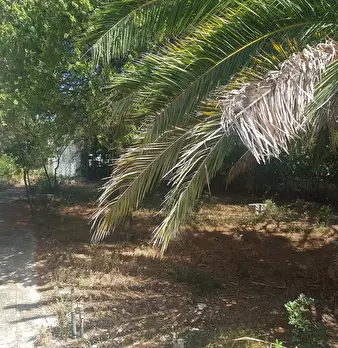 Foto annuncio 5