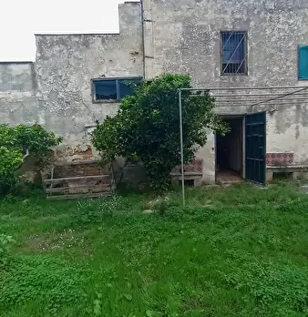 Foto annuncio 1