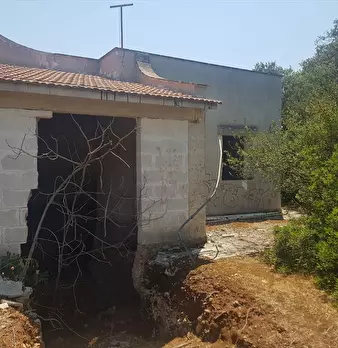 Foto annuncio 11