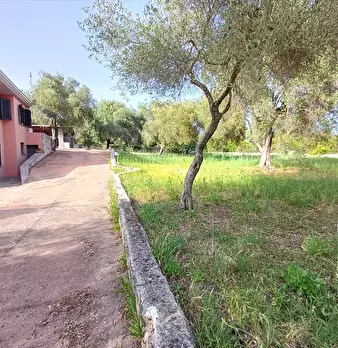 Foto annuncio 12