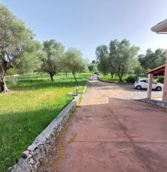Foto annuncio 14