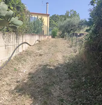 Foto annuncio 8