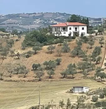 Foto annuncio 1