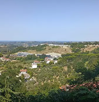 Foto annuncio 20