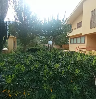 Foto annuncio 8