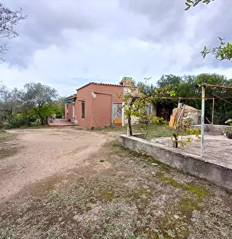 Foto annuncio 14