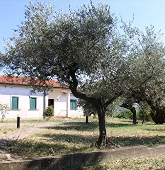 Foto annuncio 22