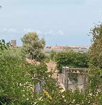 Foto annuncio 17