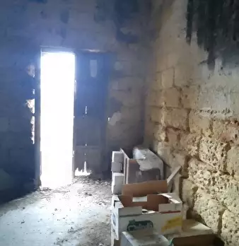 Foto annuncio 6