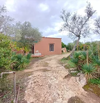 Foto annuncio 11