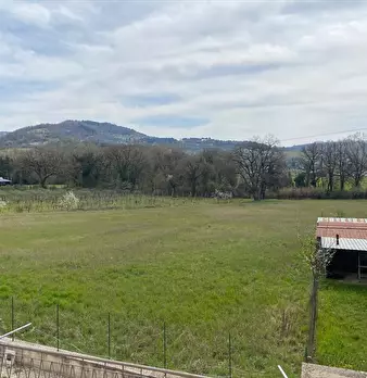 Foto annuncio 11