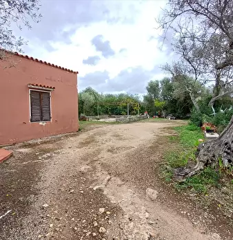 Foto annuncio 12