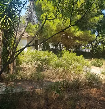 Foto annuncio 4