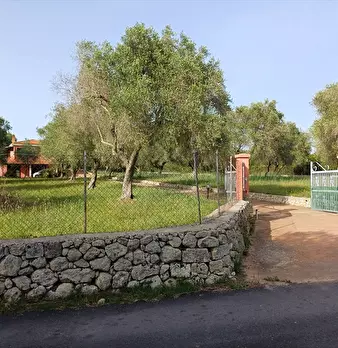 Foto annuncio 2