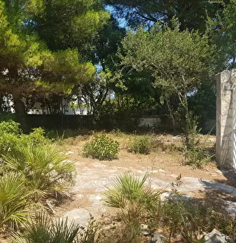 Foto annuncio 30