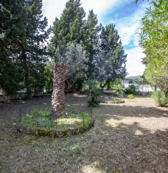 Foto annuncio 17