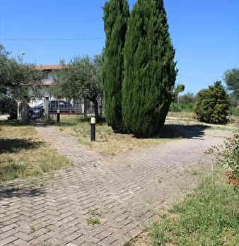 Foto annuncio 6
