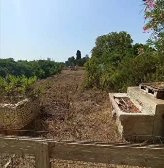 Foto annuncio 3