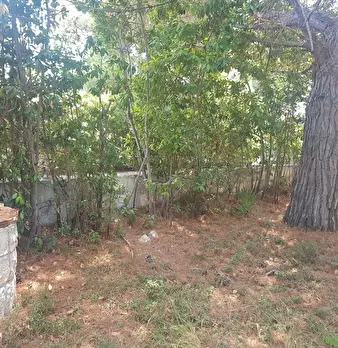 Foto annuncio 21