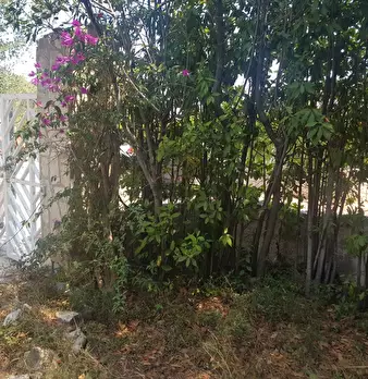 Foto annuncio 29