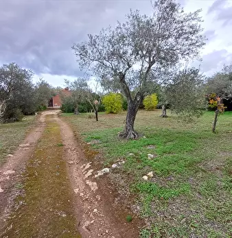 Foto annuncio 9