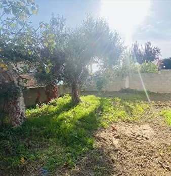 Foto annuncio 19