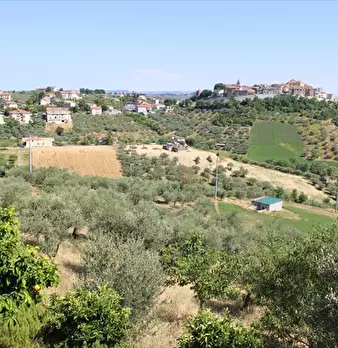 Foto annuncio 7