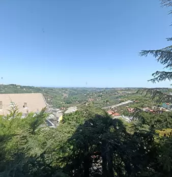 Foto annuncio 11