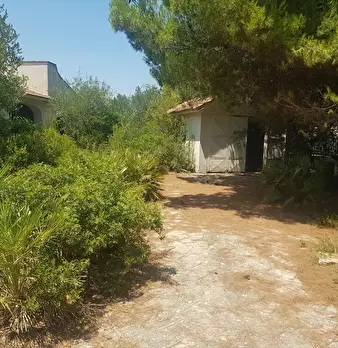Foto annuncio 28