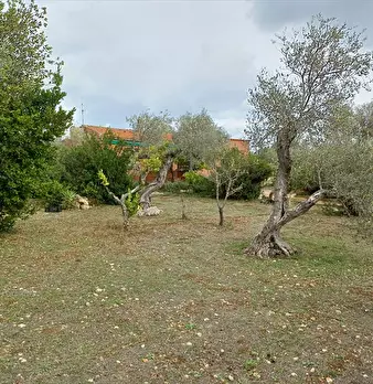 Foto annuncio 21