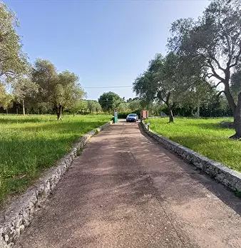 Foto annuncio 19