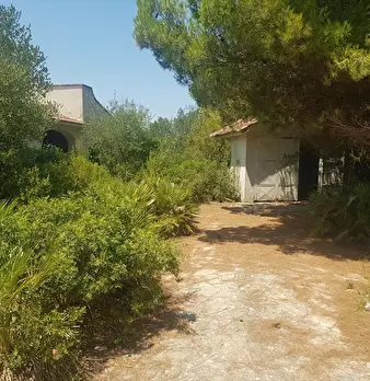 Foto annuncio 25