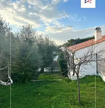 Foto annuncio 26