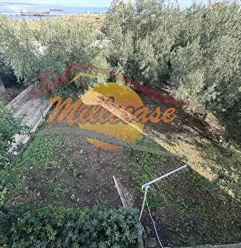Foto annuncio 11