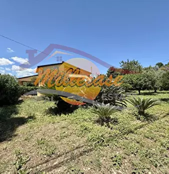 Foto annuncio 10