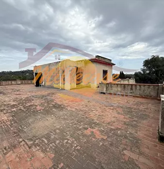 Foto annuncio 23